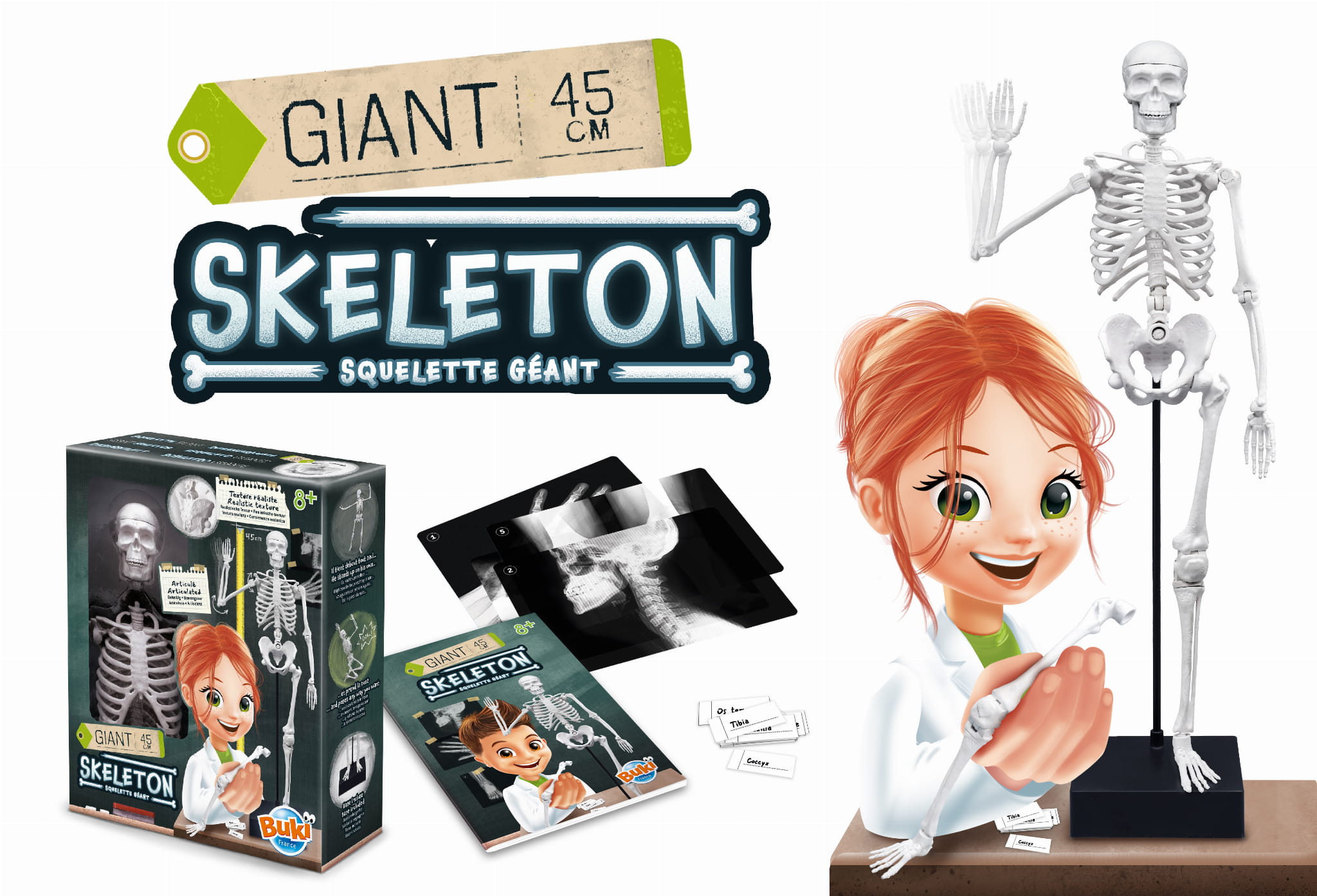 33490.jpg 3ab40953a4c344a194c0f16447000546