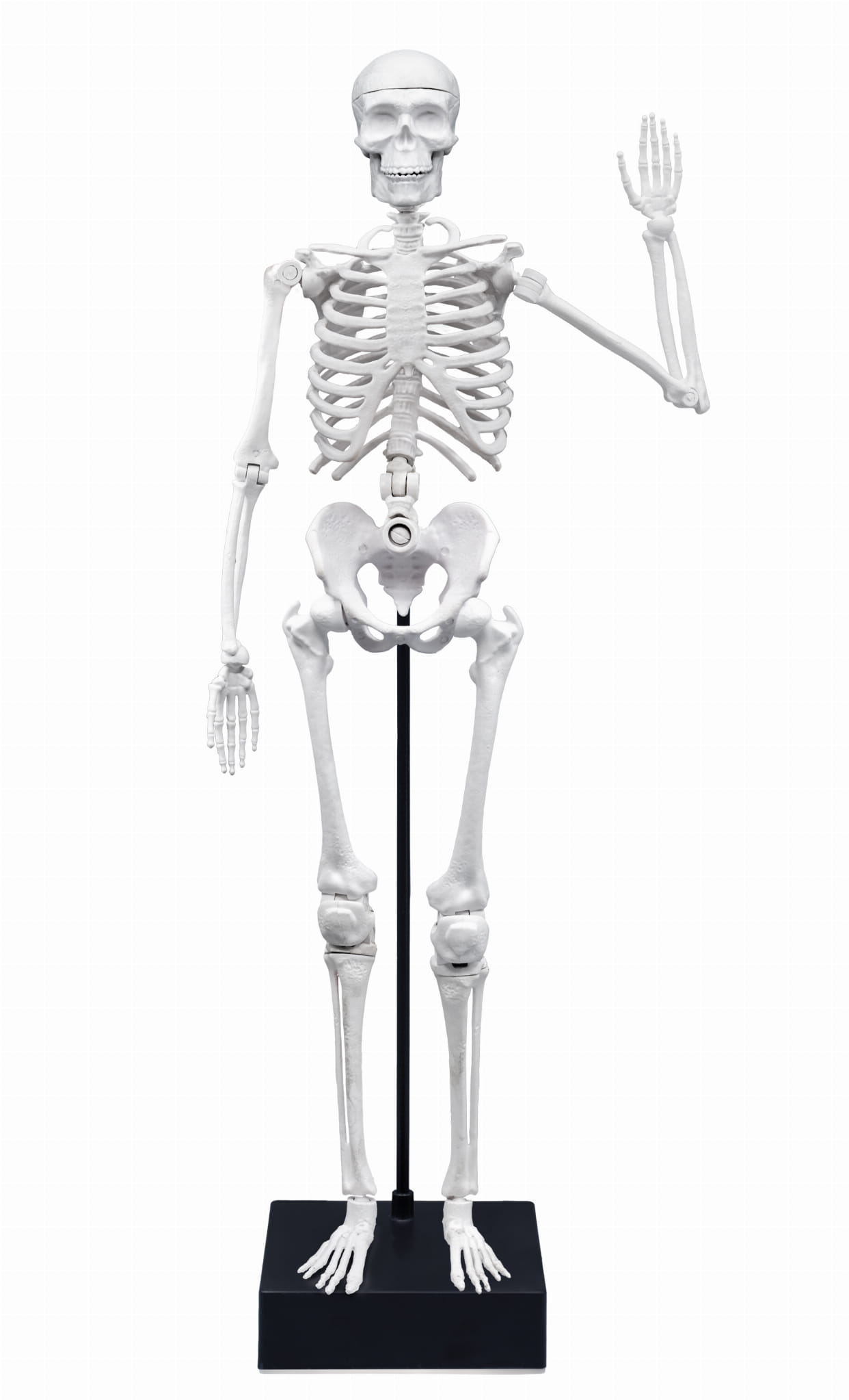 33493.jpg 41ff653cdc748bdad850364bd8fa6158