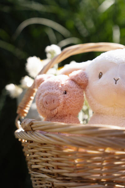 3676_6.jpg 33043624504cabd62b1a7bf629c6e277