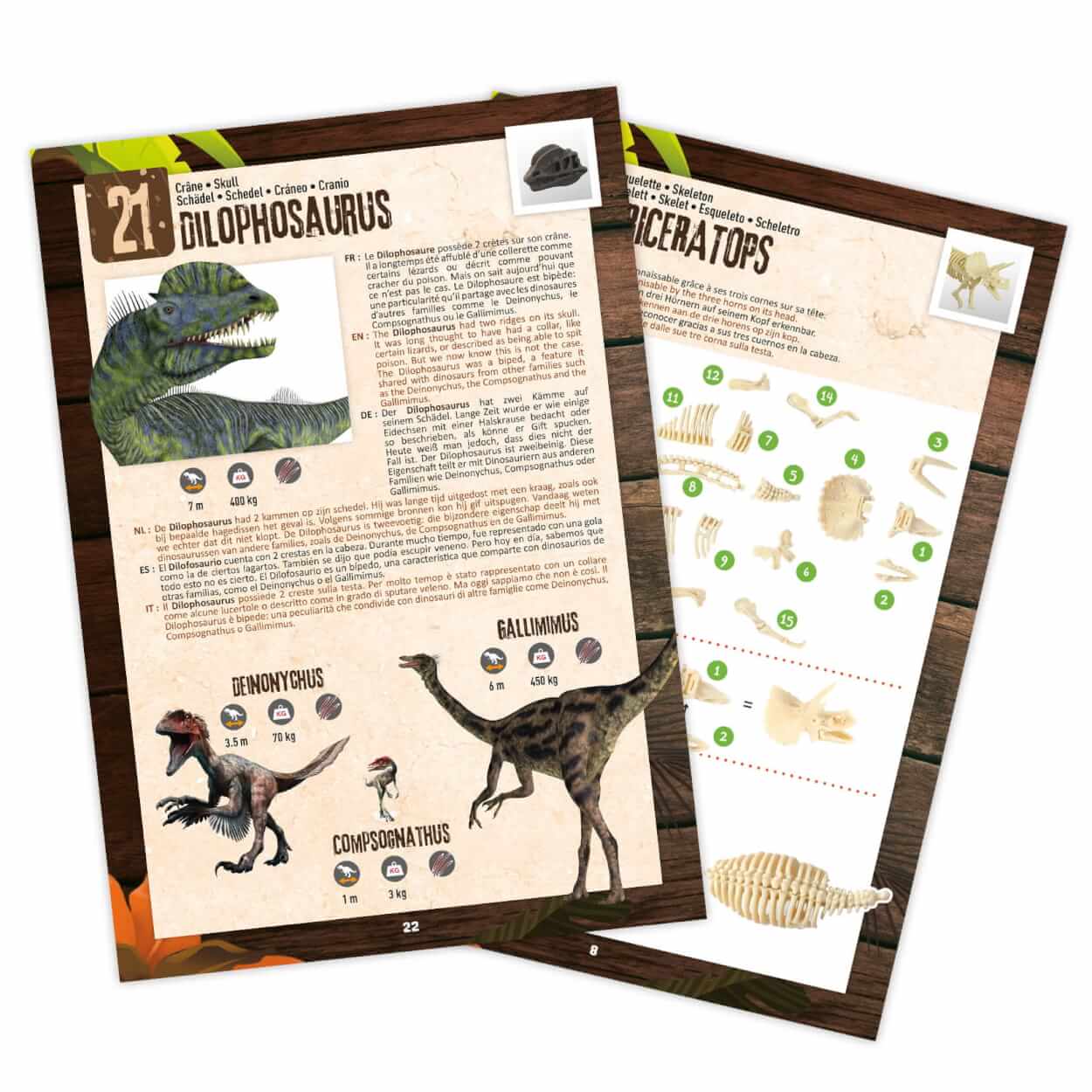 db856d7176533c283c925f3e000e3f53.jpg fd9472f614d609daea98eec7df09671f