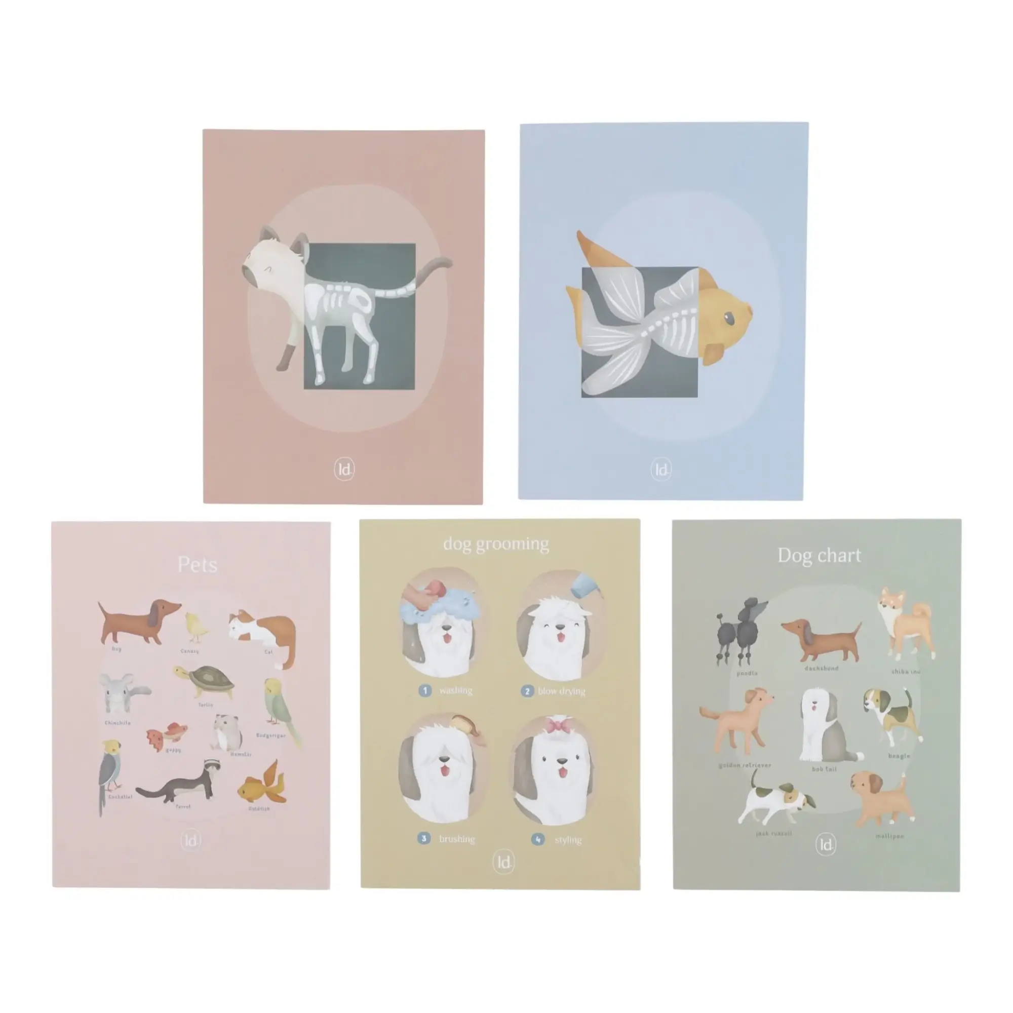 f0a924928b5208cb4e0a78c4863c7ff9.webp 556e63a649e223186fa06f0f072a6b3a